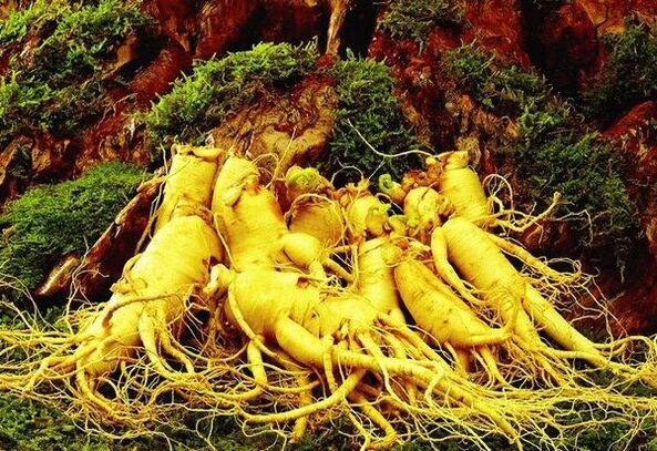Naturdrogen gegen Macht