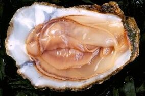 Die Auster ist ein starkes Stimulans des sexuellen Verlangens